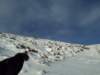 Photo Number 6