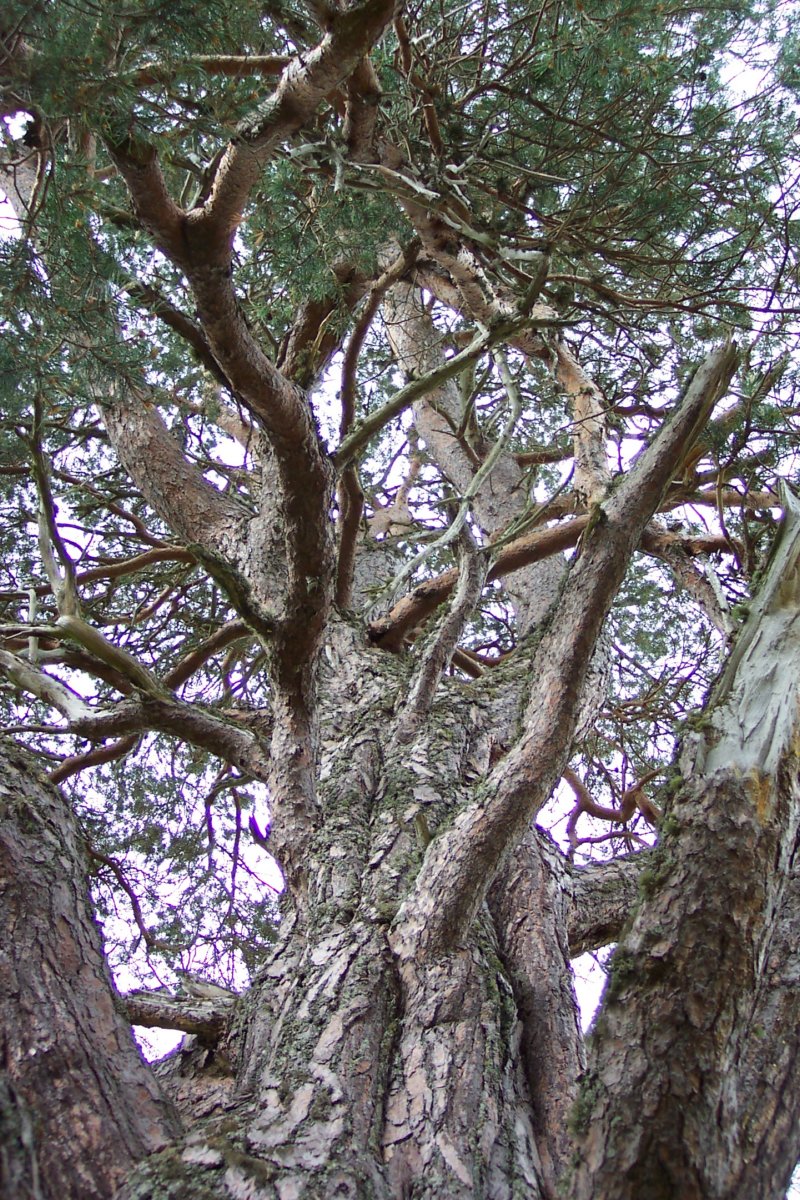 lochaneilein015.jpg