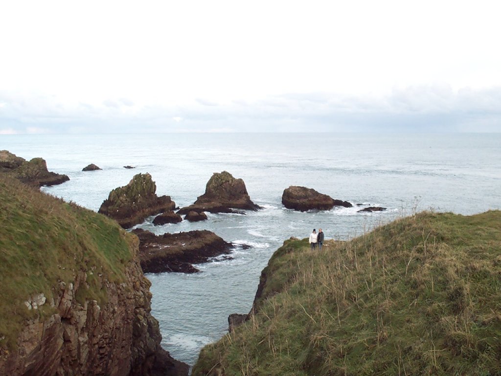 Photograph