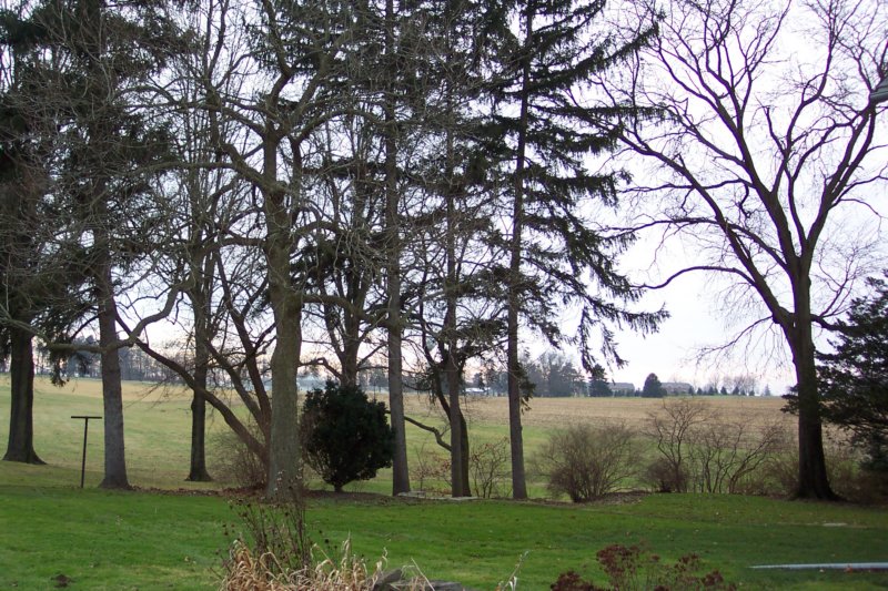 anotherviewfromthestonehouse.jpg